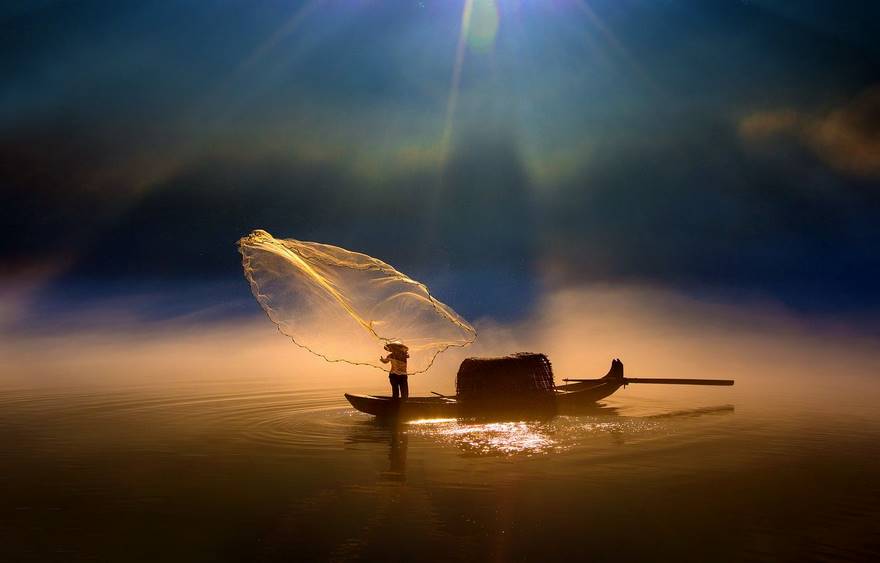 花蕊