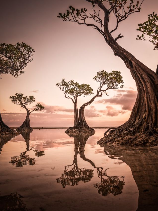 超现实